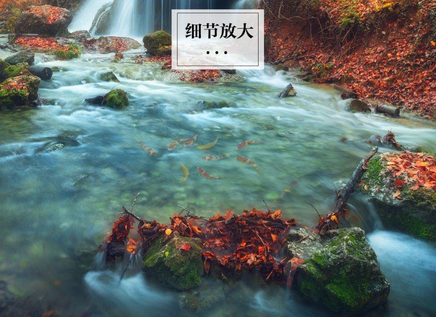 机智问答网页喝蒿坪毛尖对老年人的动脉硬化能够缓解吗?,帮您解答疑惑